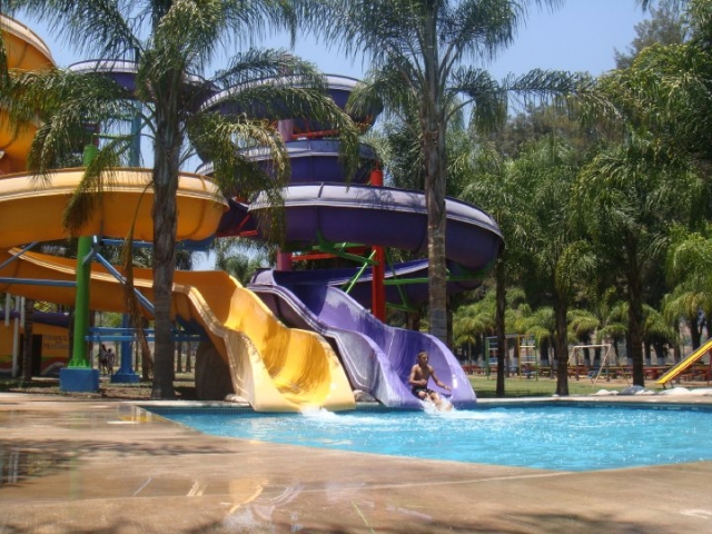 Adrenalina y agua en la alberca